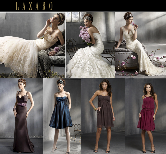 looks we love from lazaro