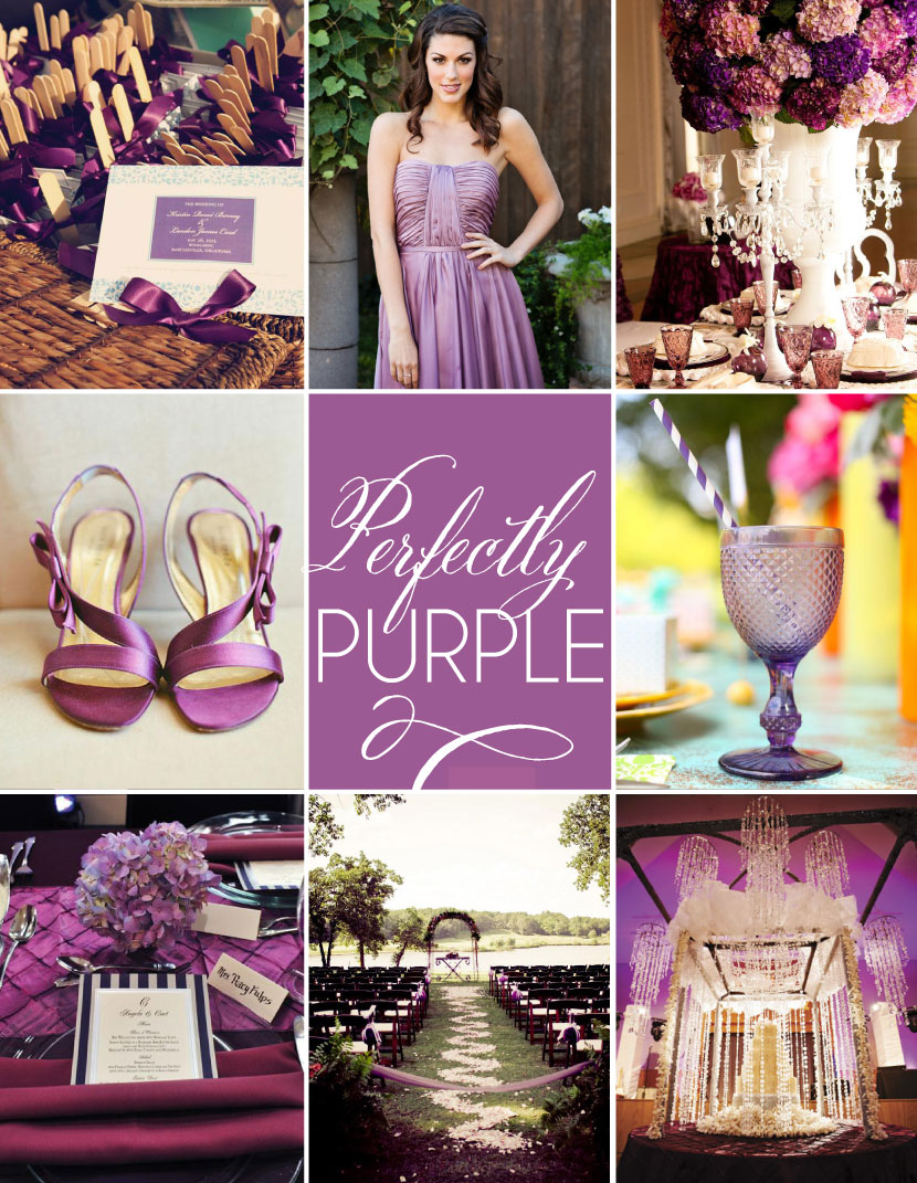 purple_colorboard_boo