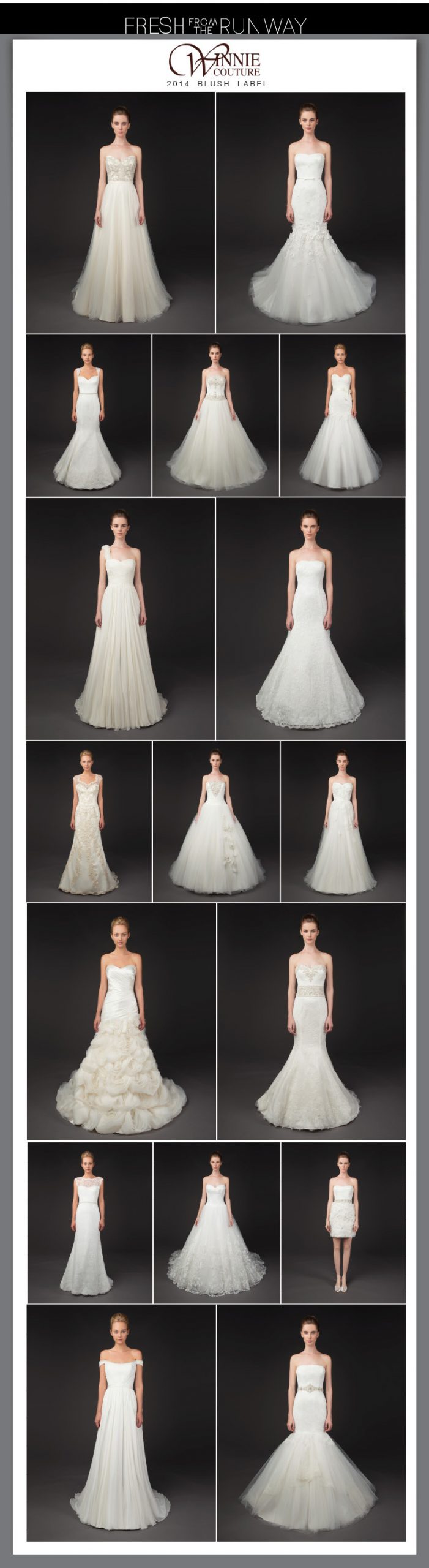 WinnieCouture2014BlushLabel