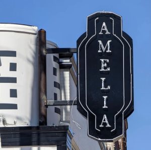 The Amelia